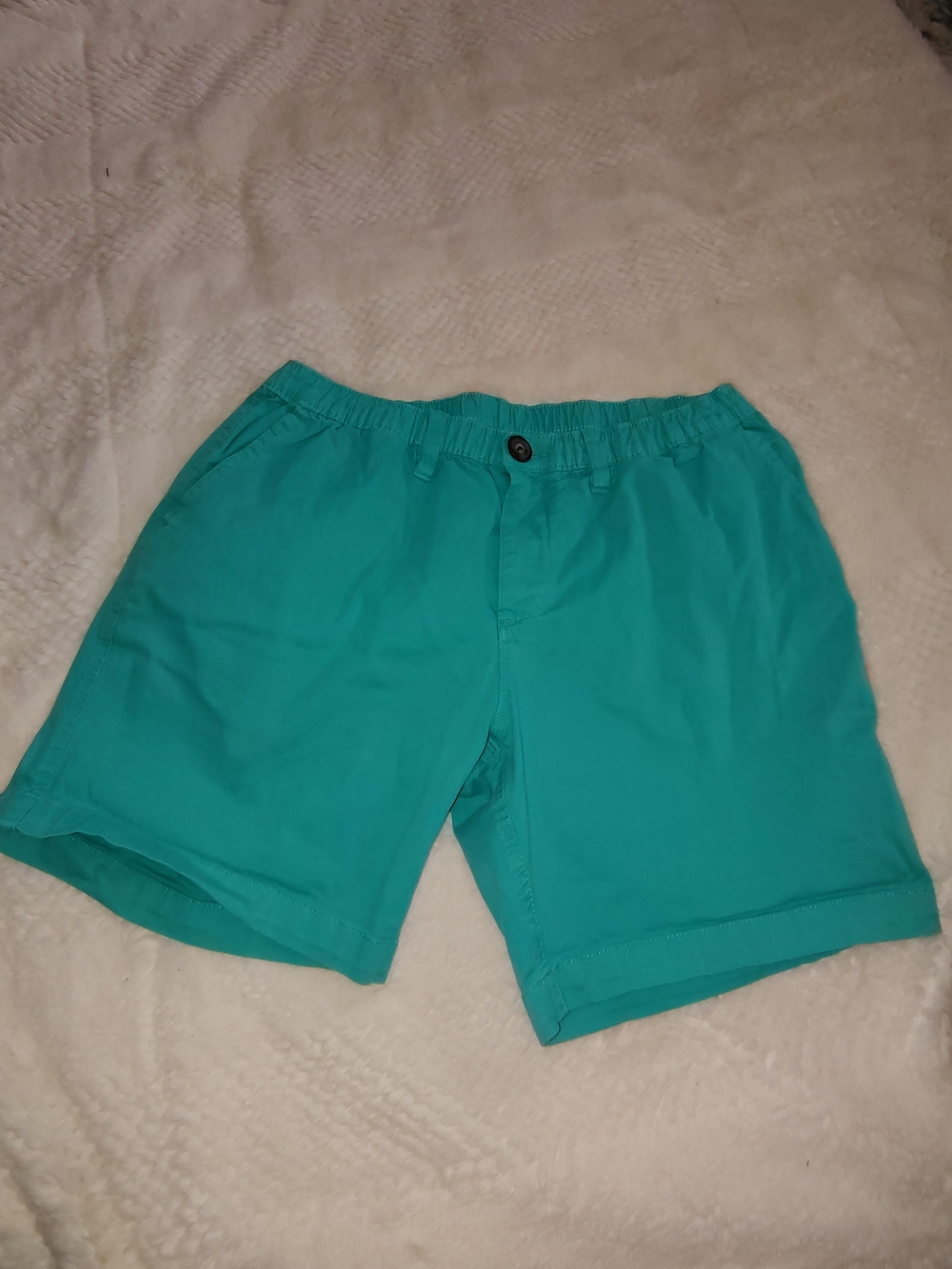chubbies Teal Men's Shorts